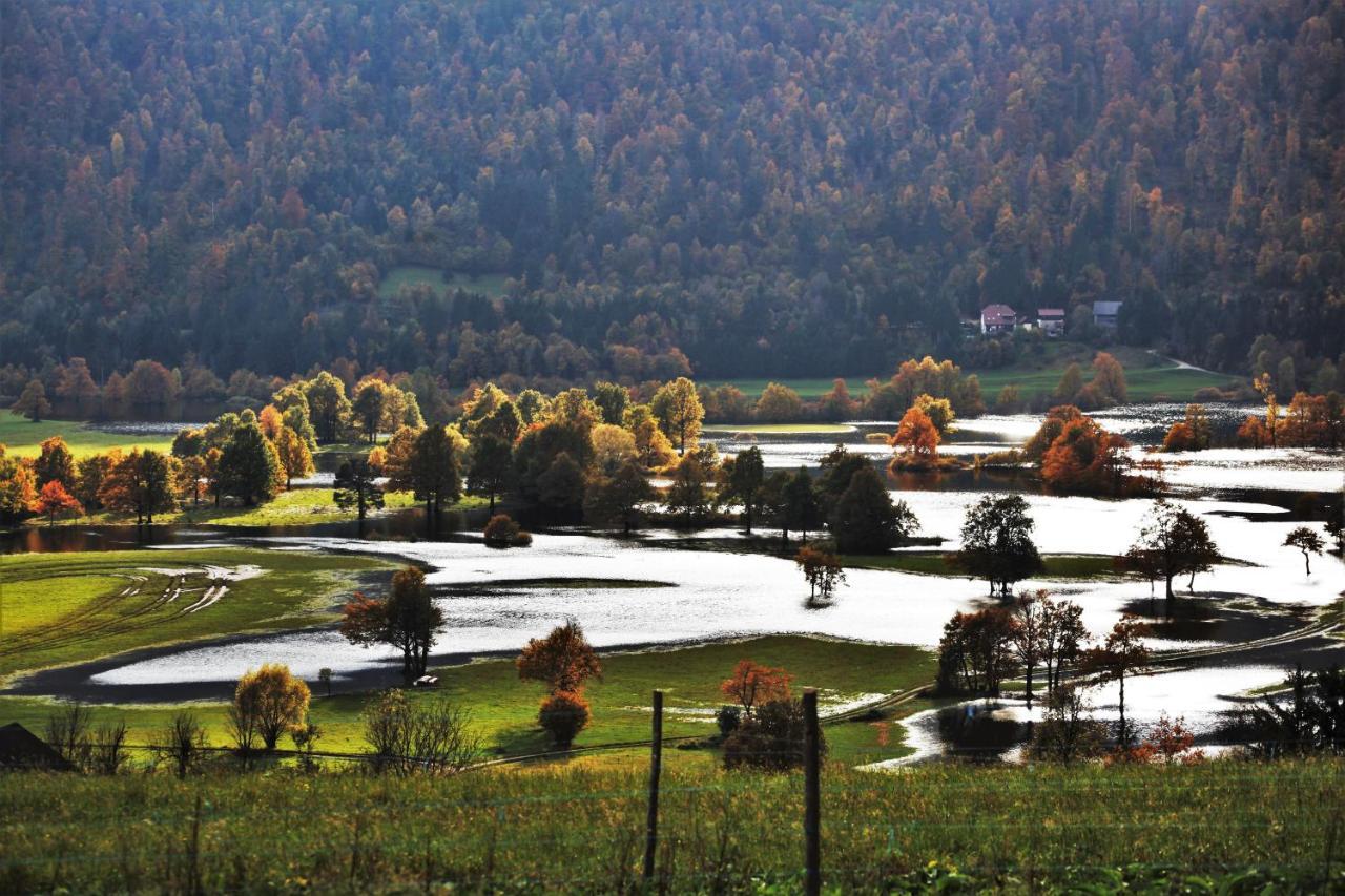 Apartment Sefic Planina  Dış mekan fotoğraf