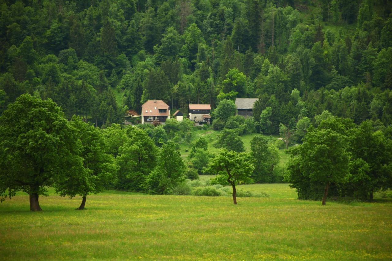 Apartment Sefic Planina  Dış mekan fotoğraf