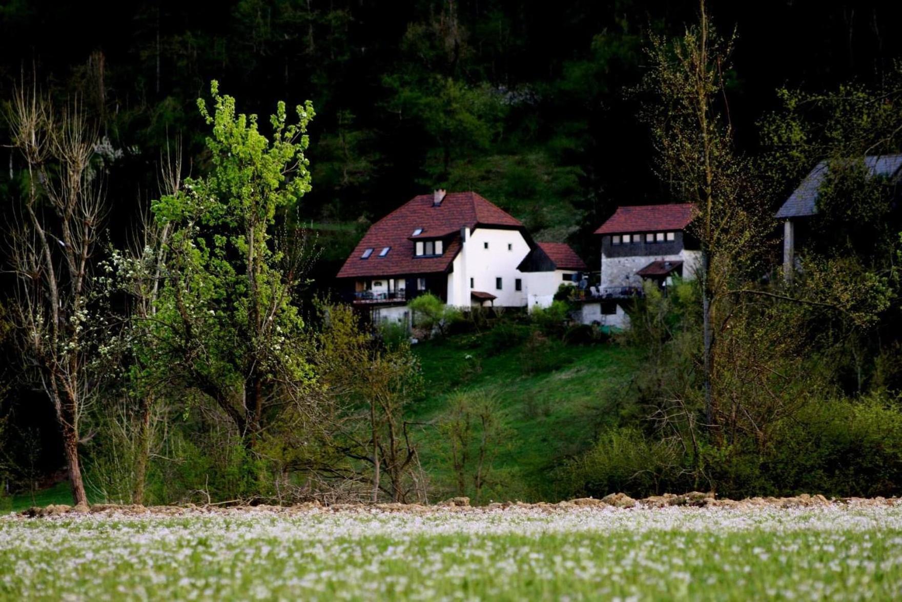 Apartment Sefic Planina  Dış mekan fotoğraf