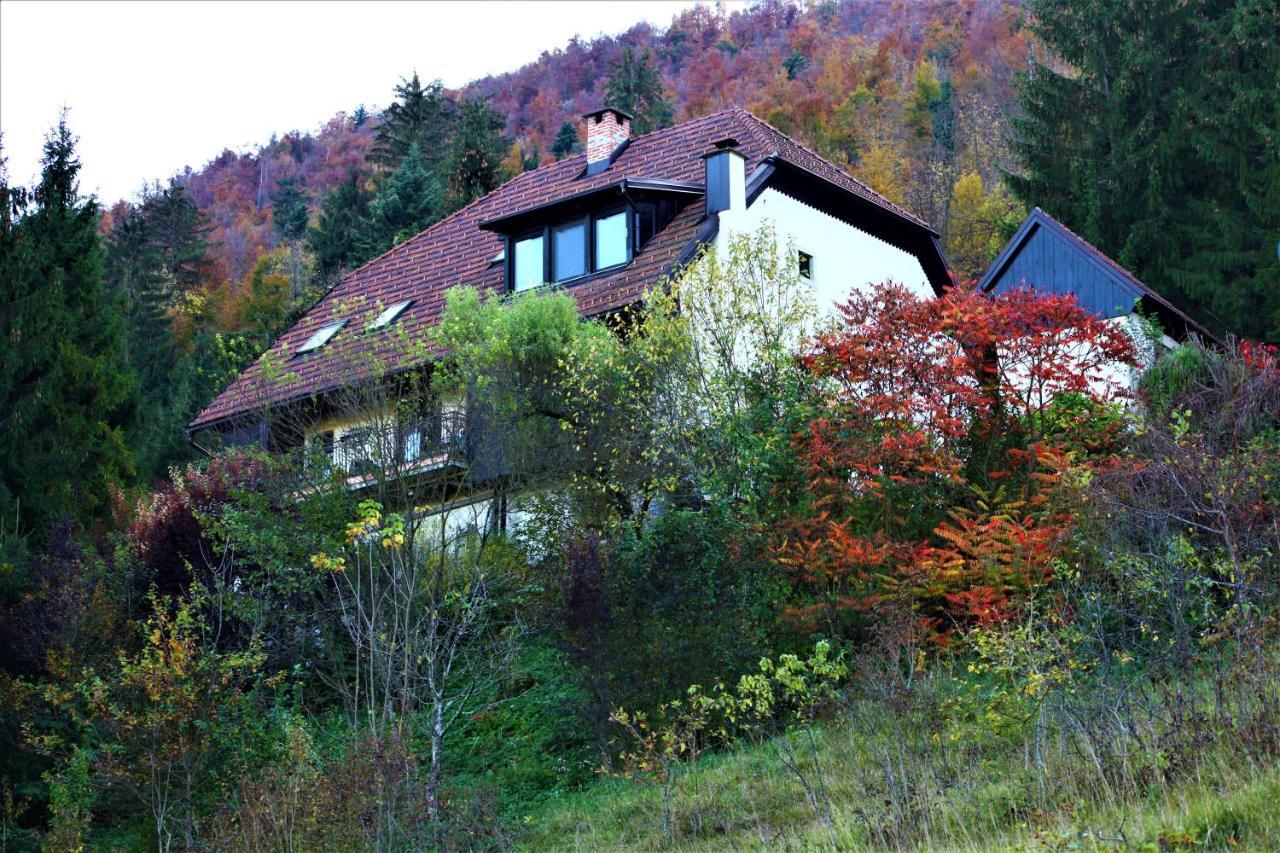 Apartment Sefic Planina  Dış mekan fotoğraf